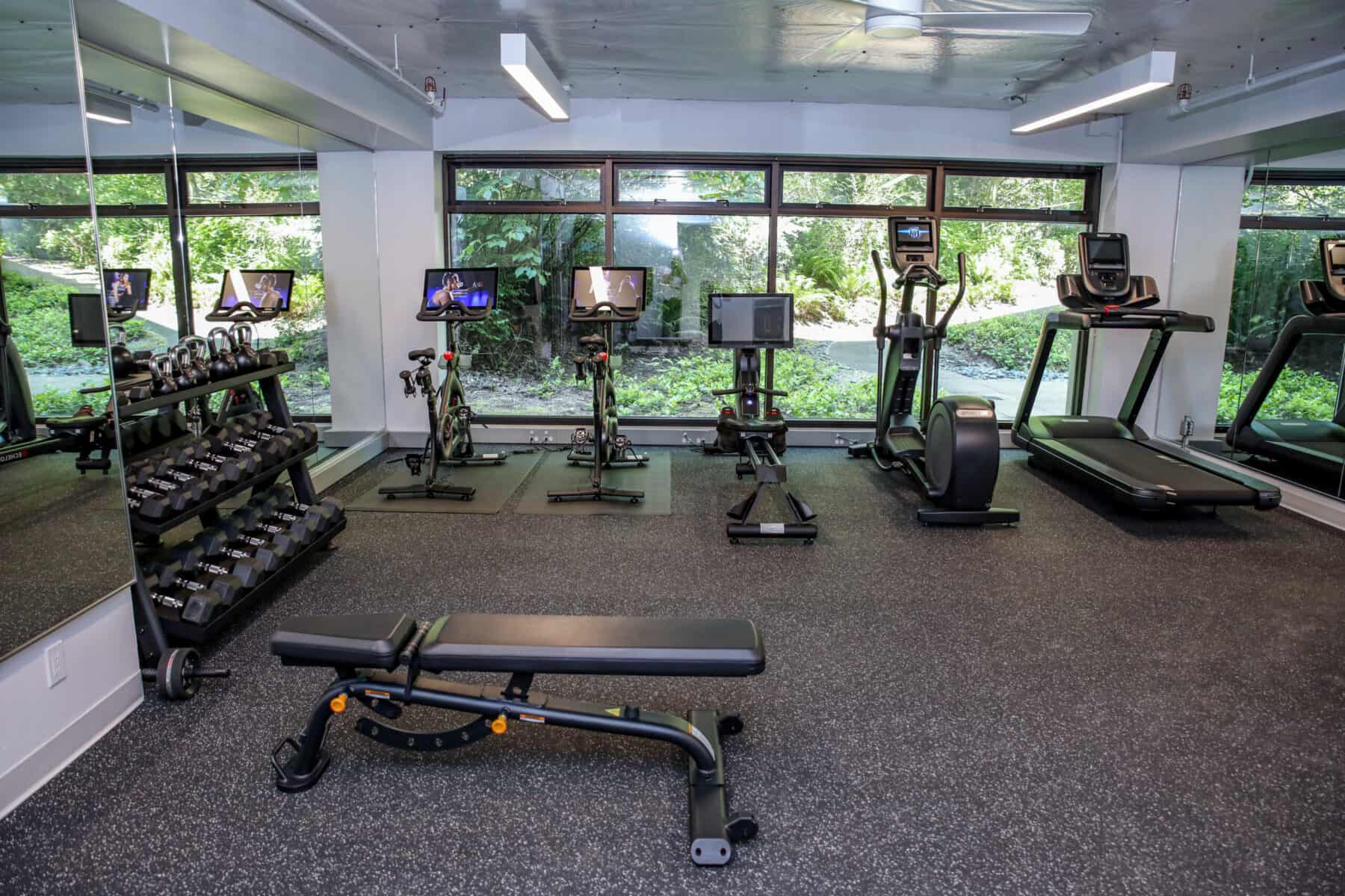 Cum să alegi echipamentul cardio potrivit?