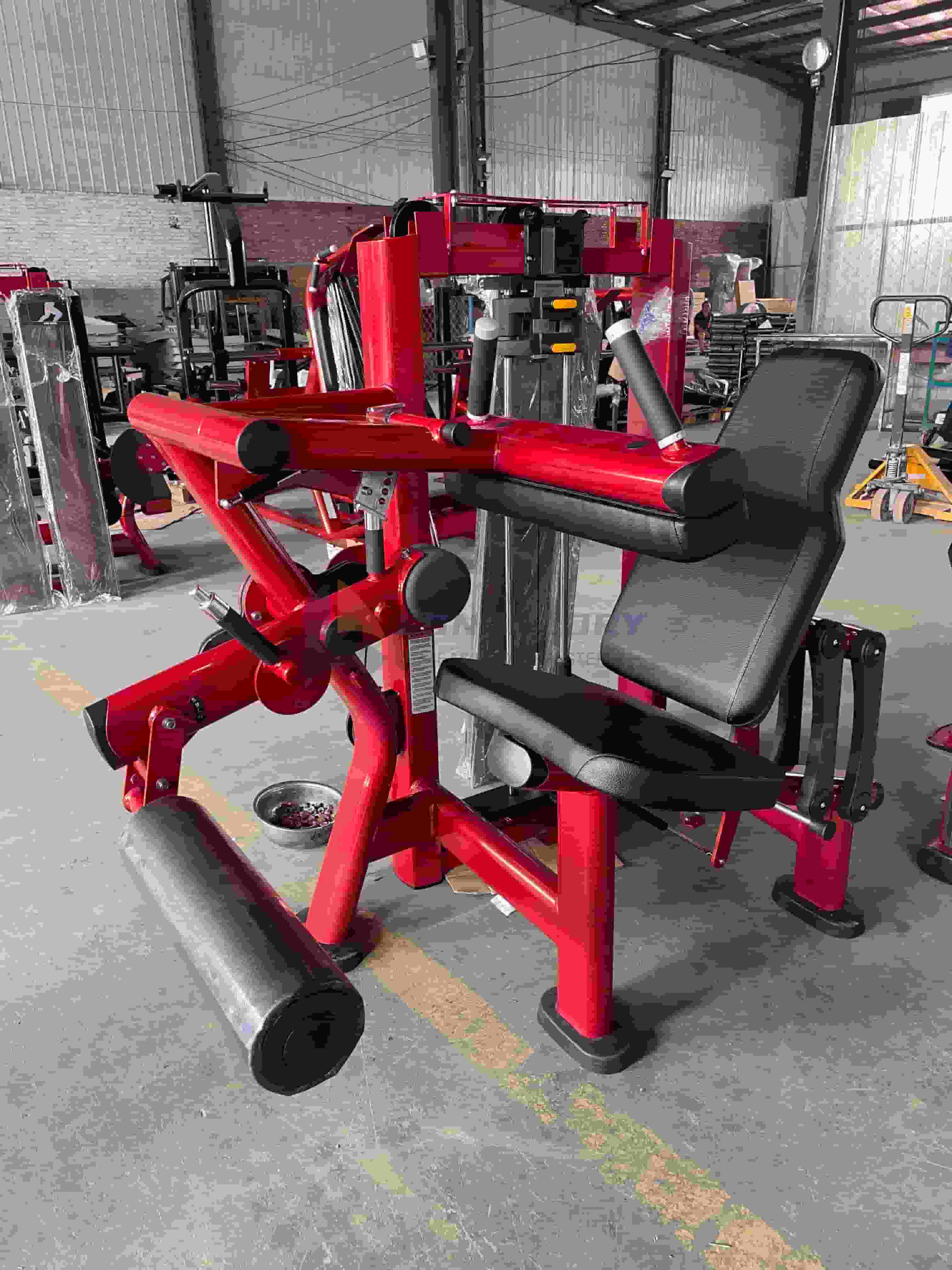 Seated Leg Curl Machine